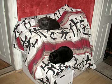 Lépcsős macskatároló bútor